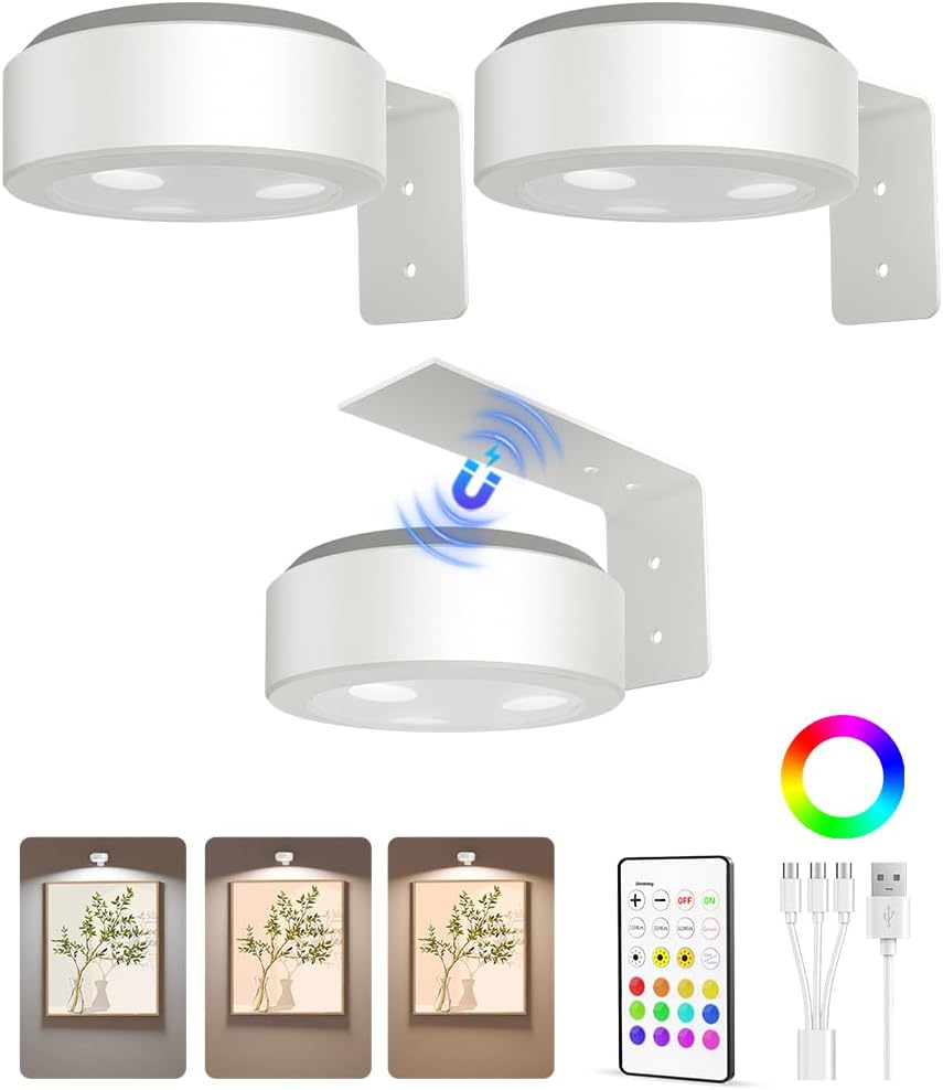 Picture Lights Wireless Puck LED Magnetic Bracket Rechargeable Remote Timer Dimmable Photo Frame Art