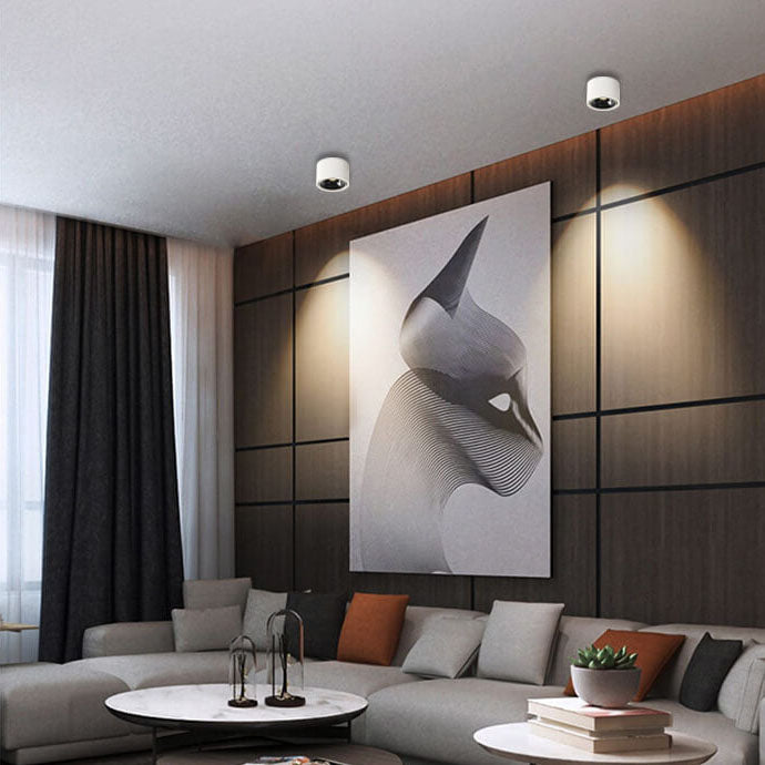 Ceiling Spotlight LED Adjustable Surface Mount Aluminium Minimalist Living Room Kitchen