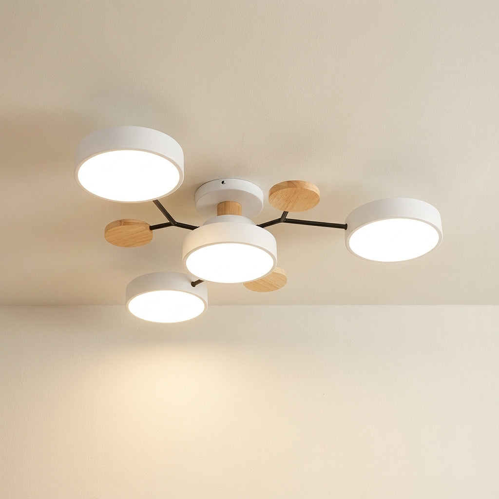 Ceiling Light with Round Acrylic Shades and Metal Frame