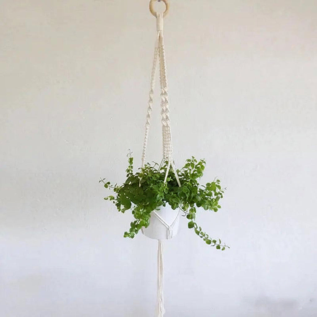 Cotton Macramé Hanging Planter with Ceramic Pot
