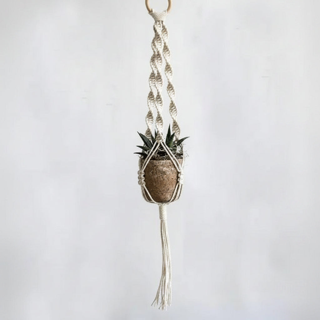 Cotton Macramé Hanging Planter with Ceramic Pot