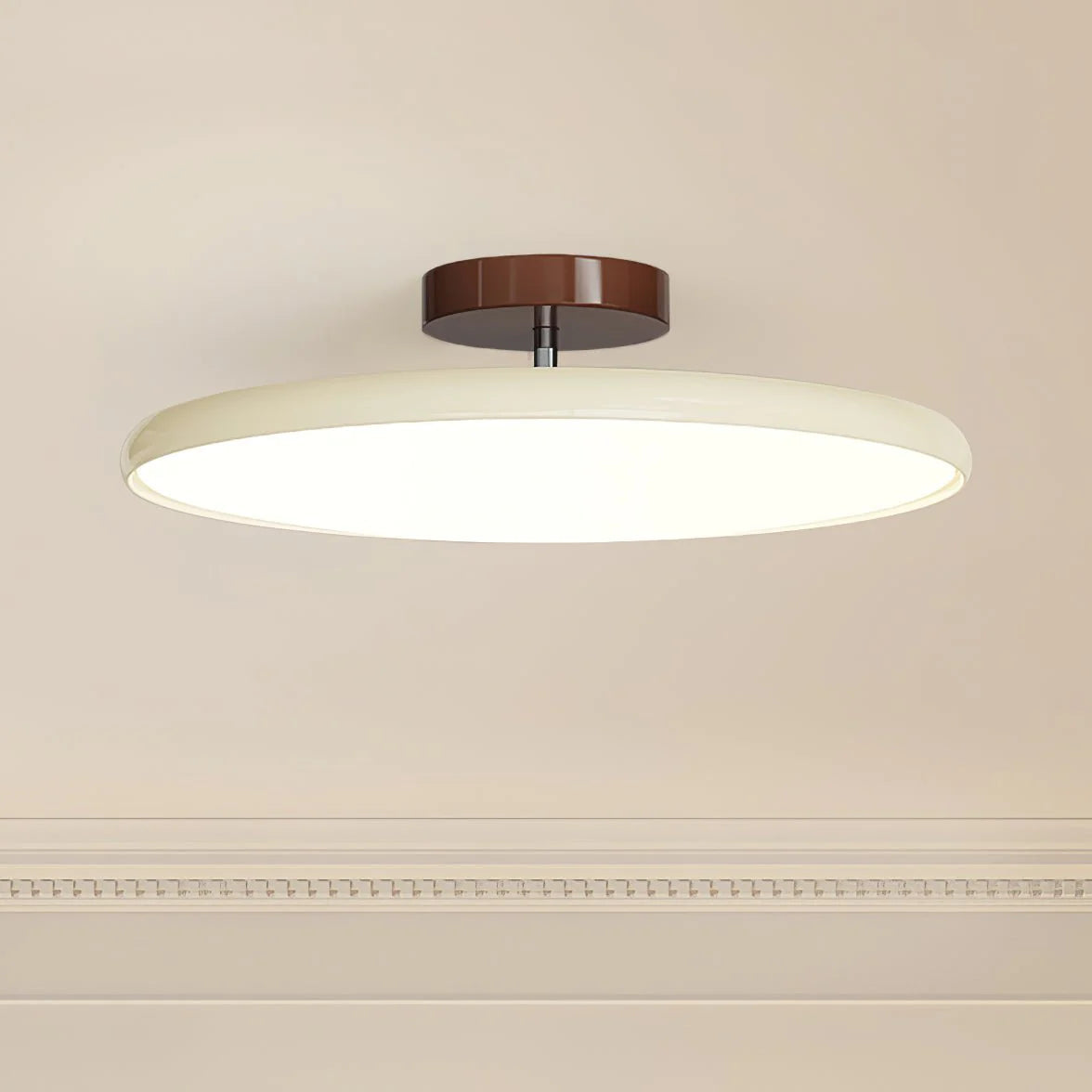 Glass Flush Mount Ceiling Light with Metal Canopy