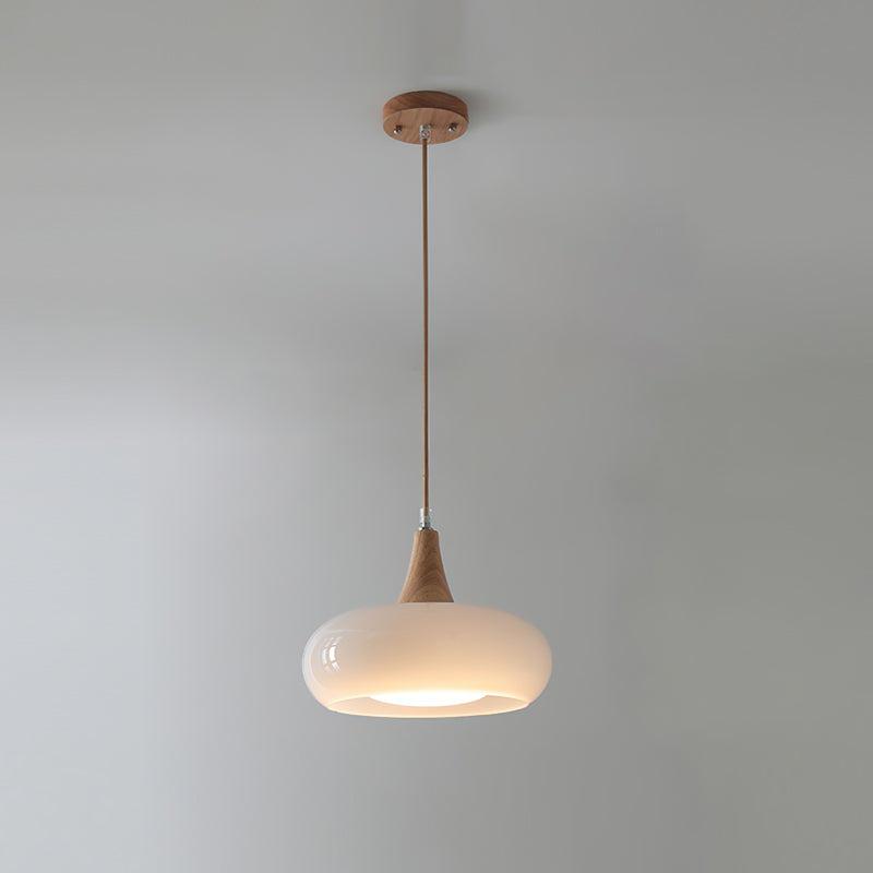 Glass Pendant Light Glossy Dome Shade Hanging Light