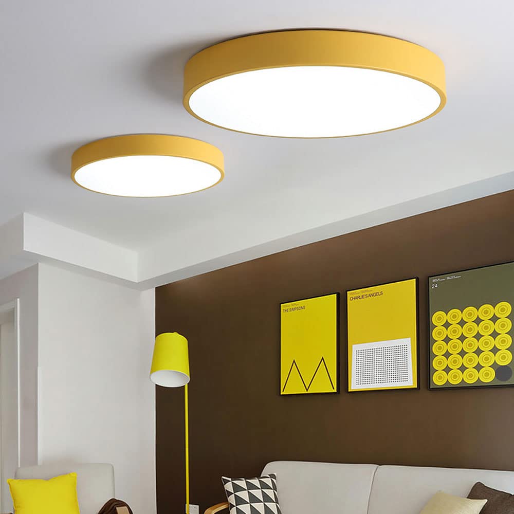 Round Flush Mount LED Ceiling Light