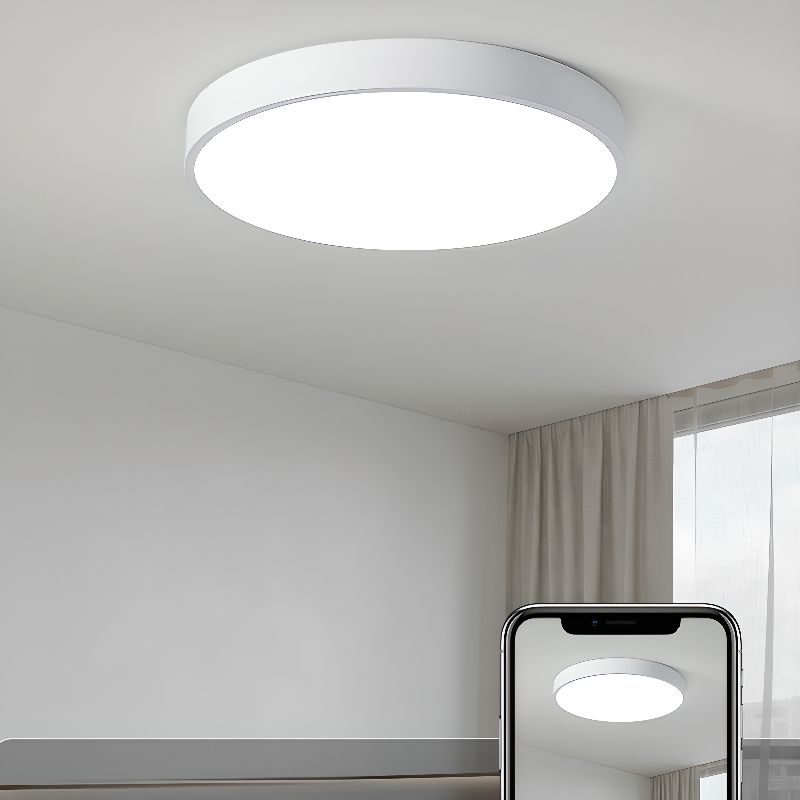 Round Flush Mount LED Ceiling Light