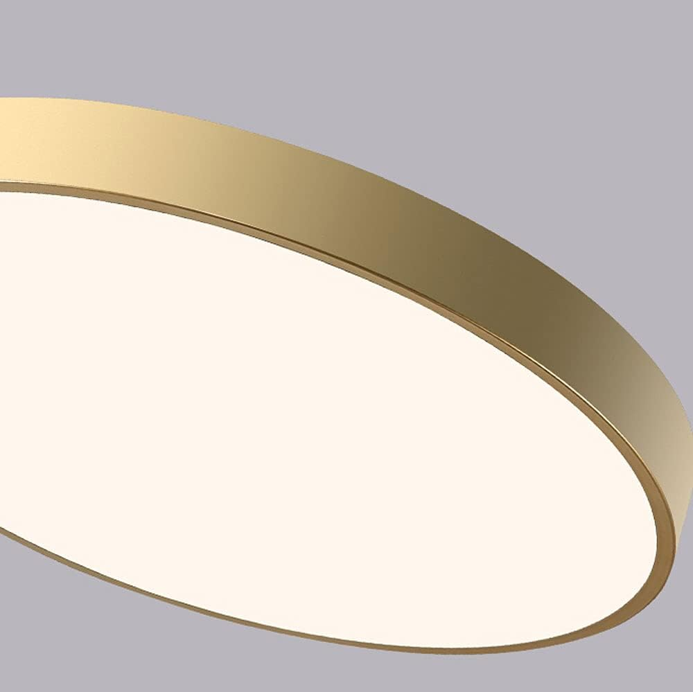 Round Flush Mount LED Ceiling Light