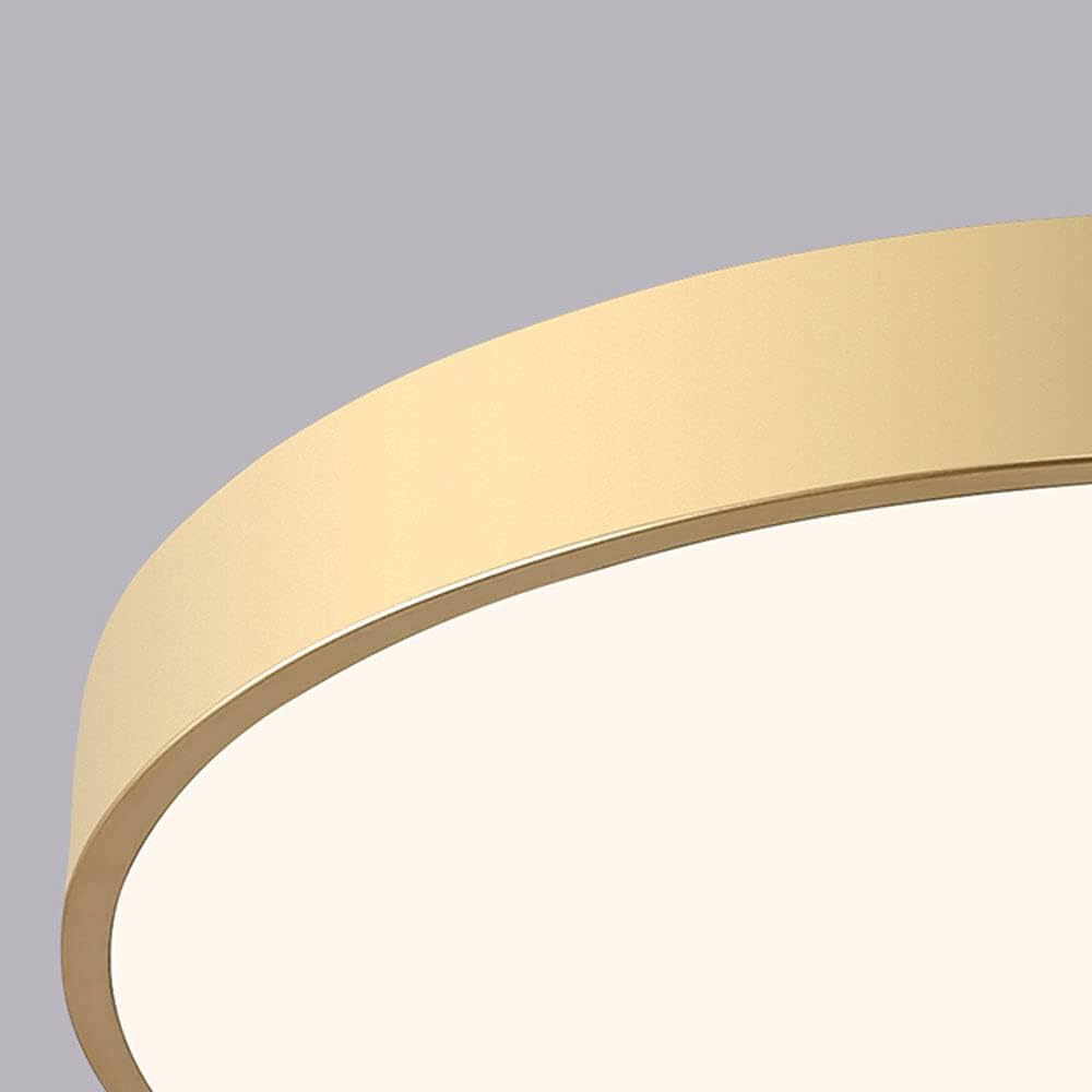 Round Flush Mount LED Ceiling Light