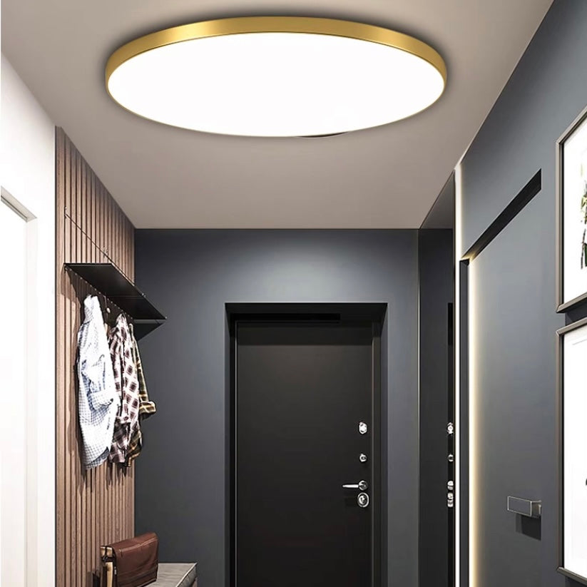 Round LED Flush Mount Ceiling Light