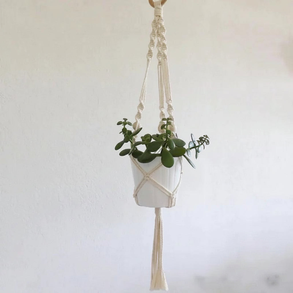 Cotton Macramé Hanging Planter with Ceramic Pot