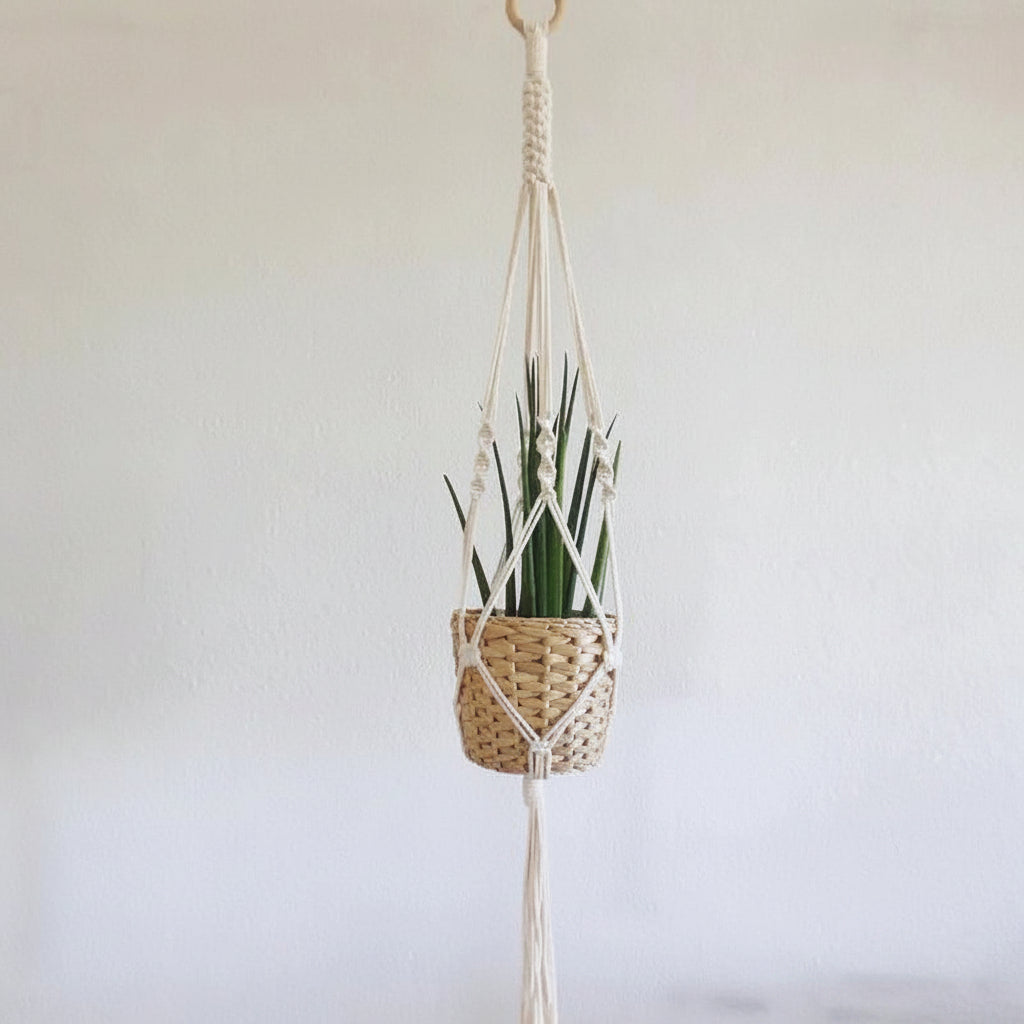 Cotton Macramé Hanging Planter with Ceramic Pot