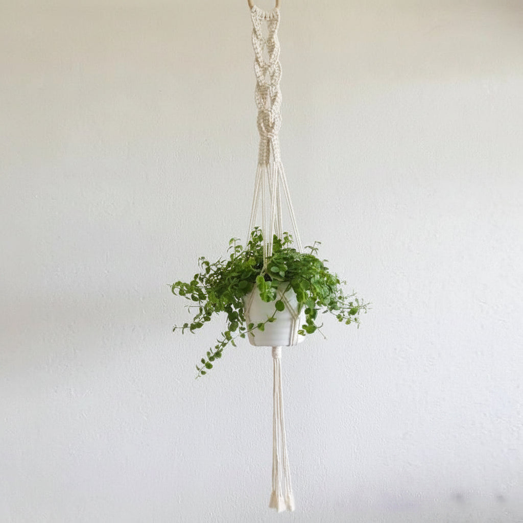 Cotton Macramé Hanging Planter with Ceramic Pot