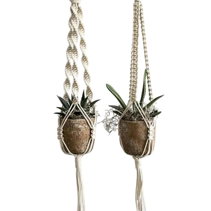Cotton Macramé Hanging Planter with Ceramic Pot
