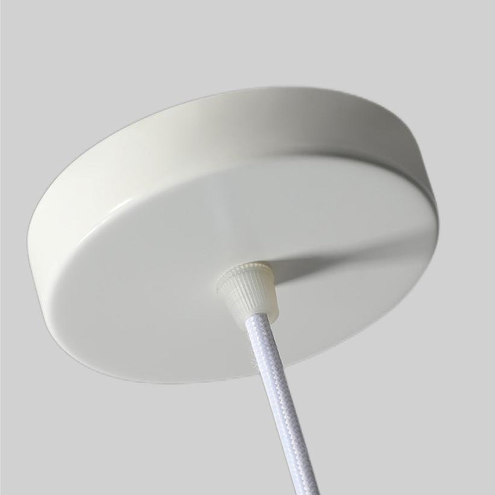 Glass Pendant Light with Metal Fixture