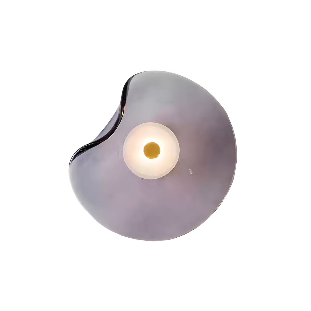 Wall Light LED Curved Toughened Glass Up Down Japandi Bedroom Living Room Hallway