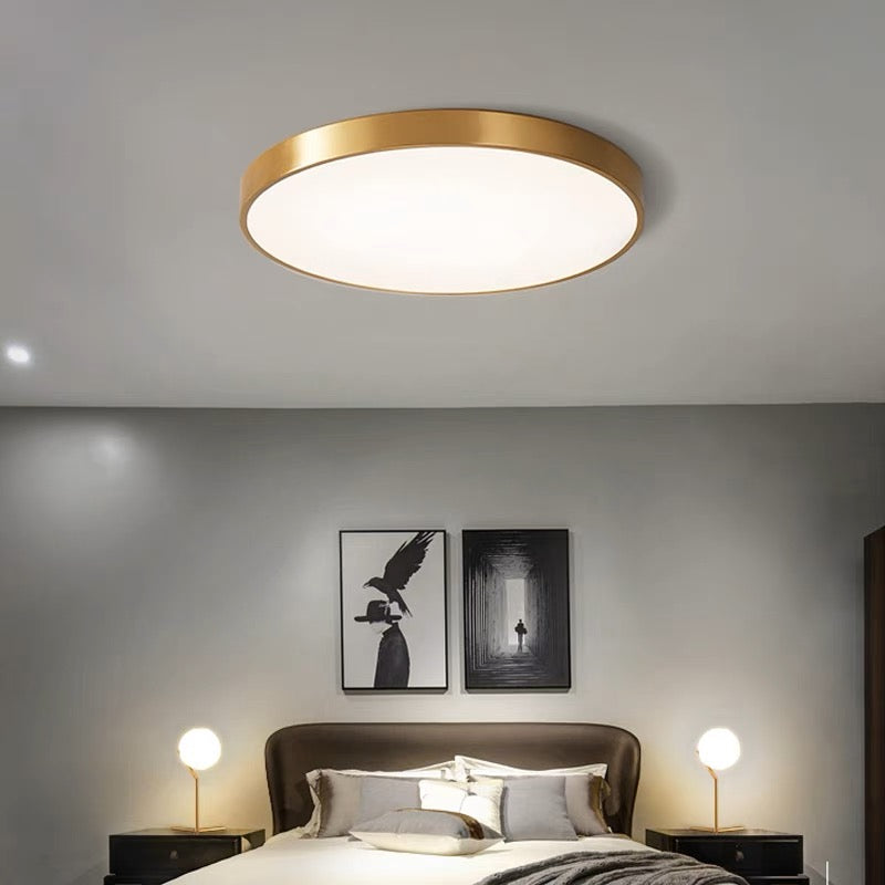 Round Flush Mount LED Ceiling Light