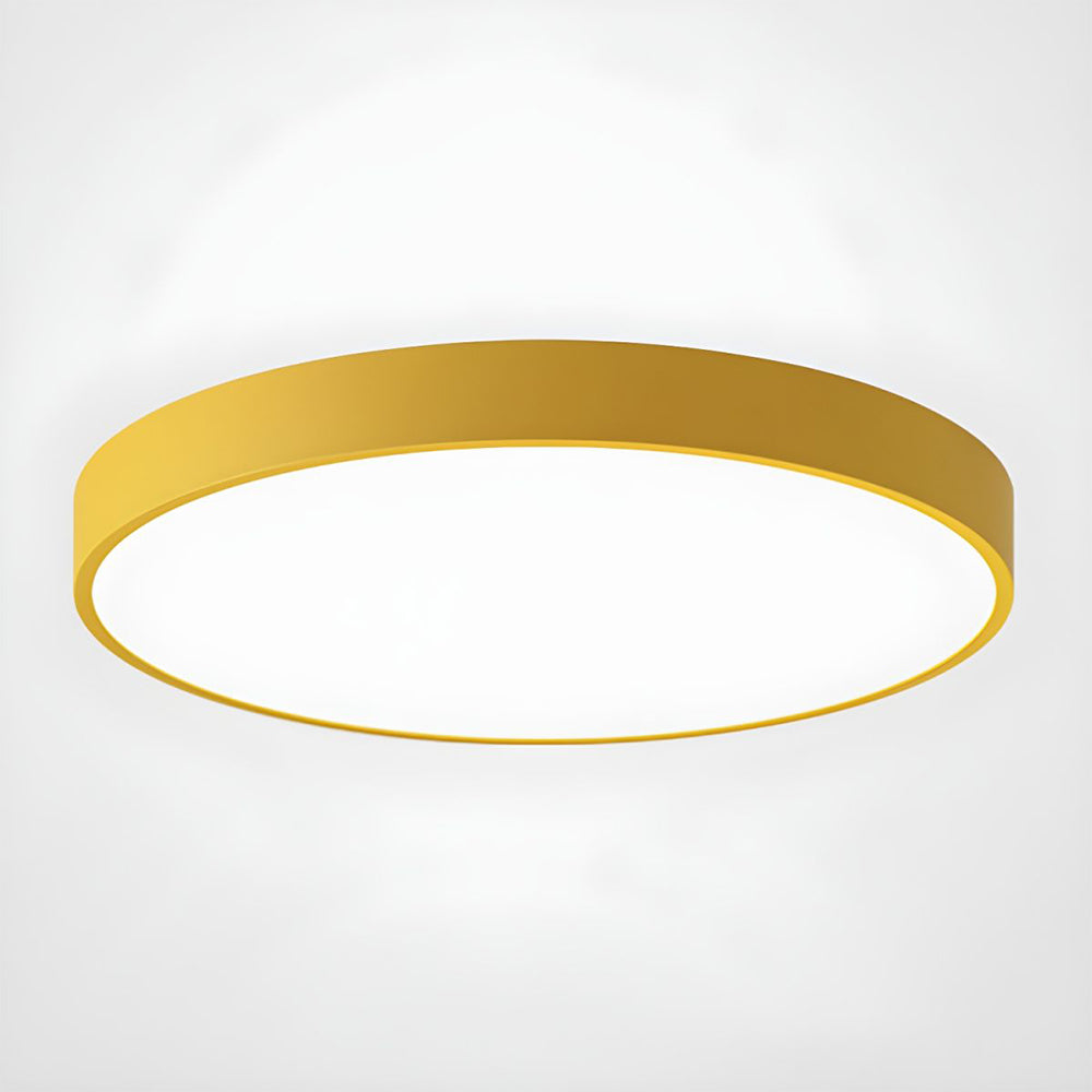 Round Flush Mount LED Ceiling Light