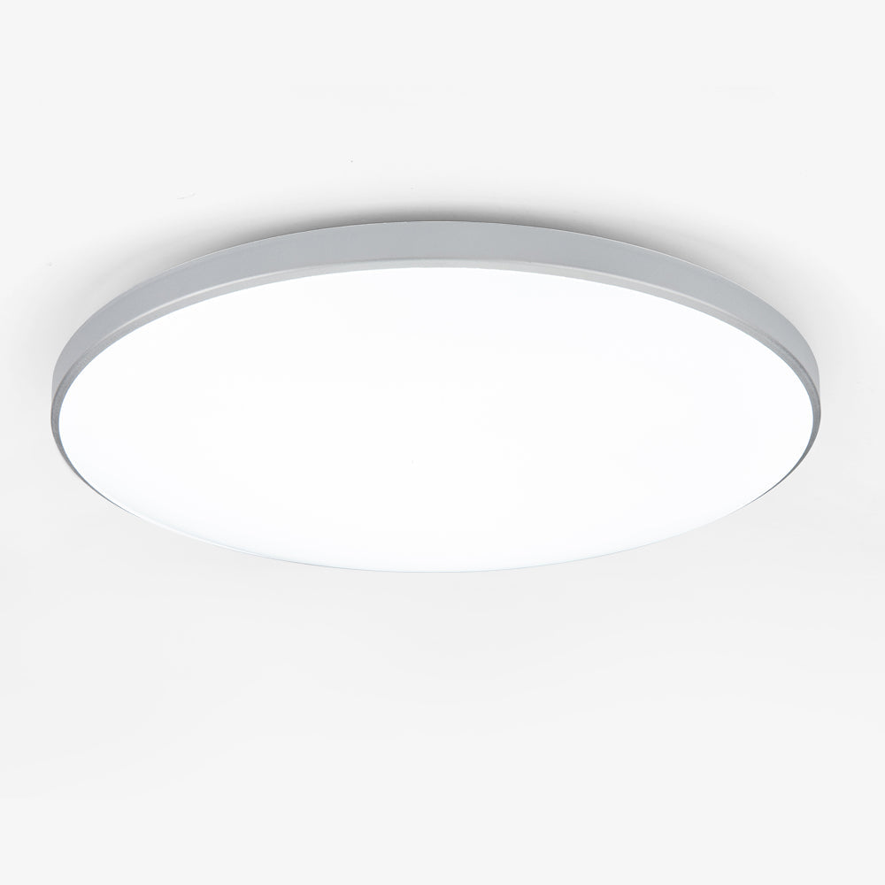 Round LED Flush Mount Ceiling Light